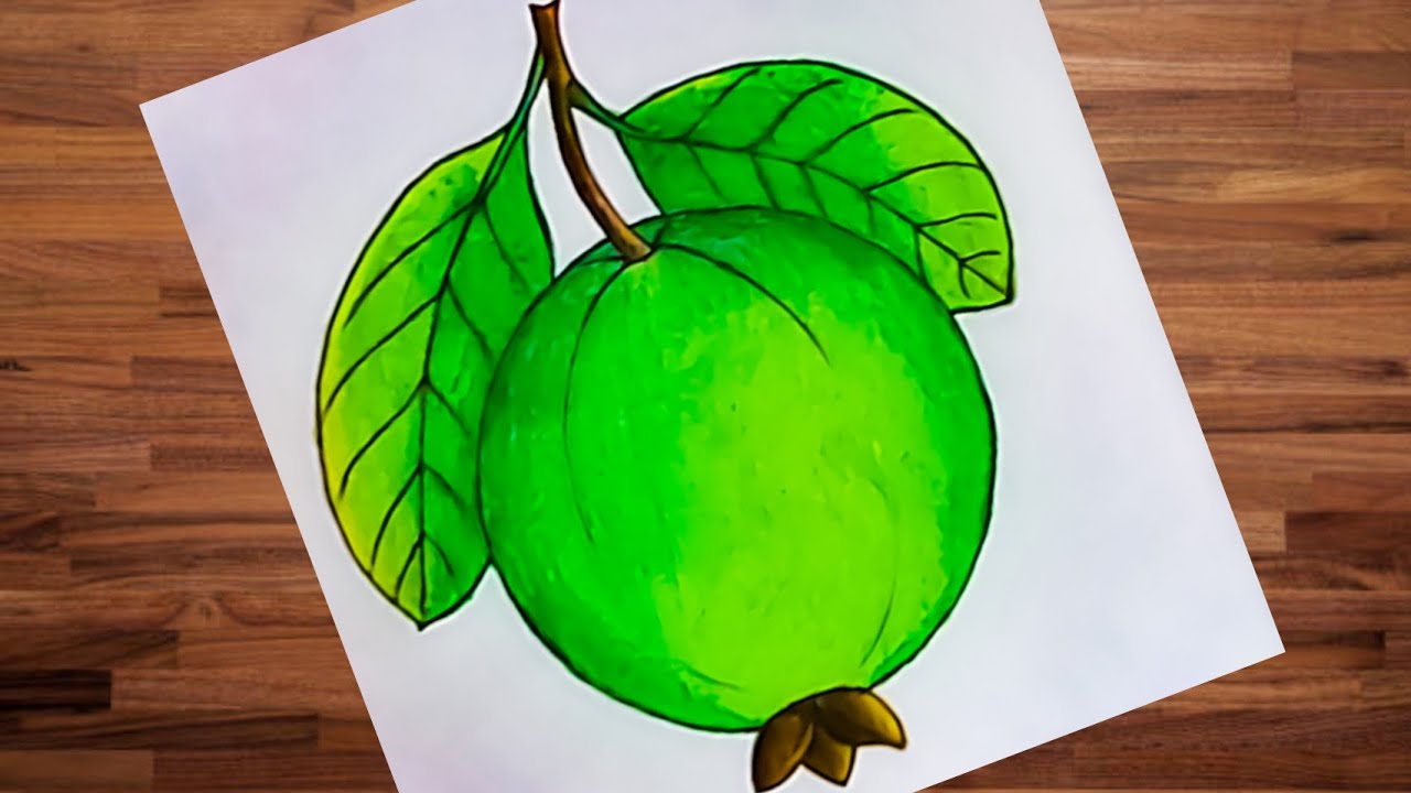 How to draw a Guava step by step