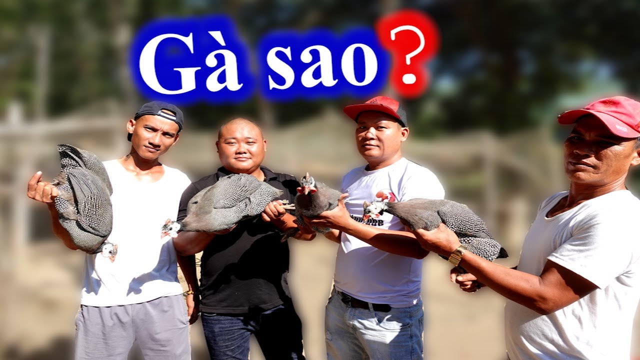 Ai Là Người Làm Món Gà Sao Vàng và Ngon Nhất - Tranh Tài Đầu Bếp | Son Duoc Vlogs