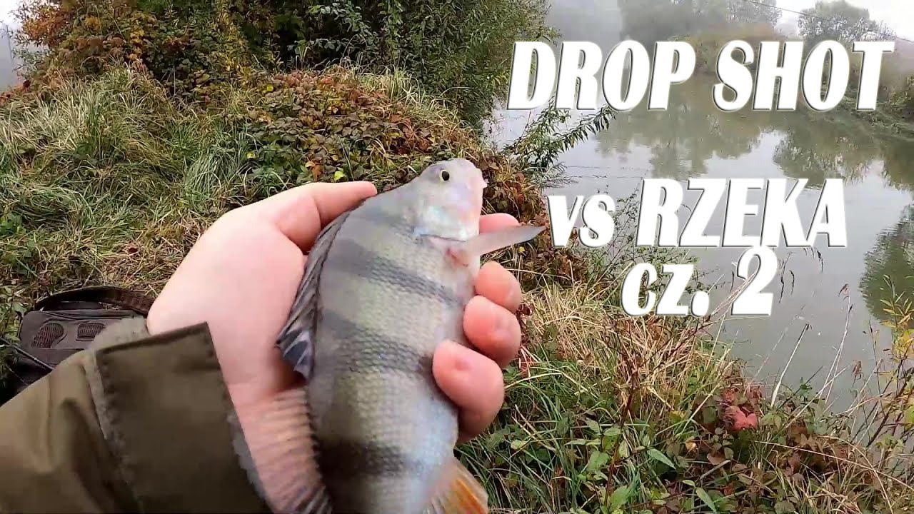 Drapieżniki na DROP SHOT / Październik 2020 / Rzeka / cz.2