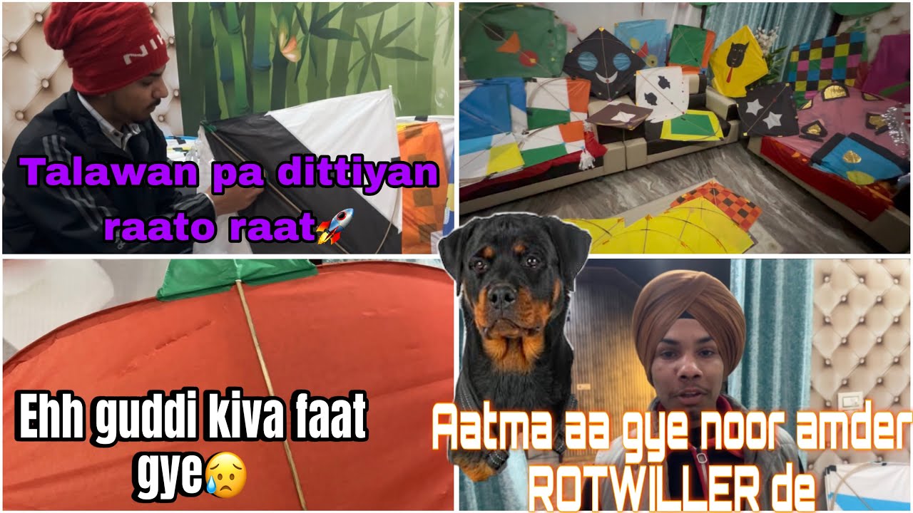 Noor ander aatma agye ROTWILLER de 😱🤔|Talwan pa dittiyan raato raat🏴‍☠️| stock karo check lohri da🪁 
