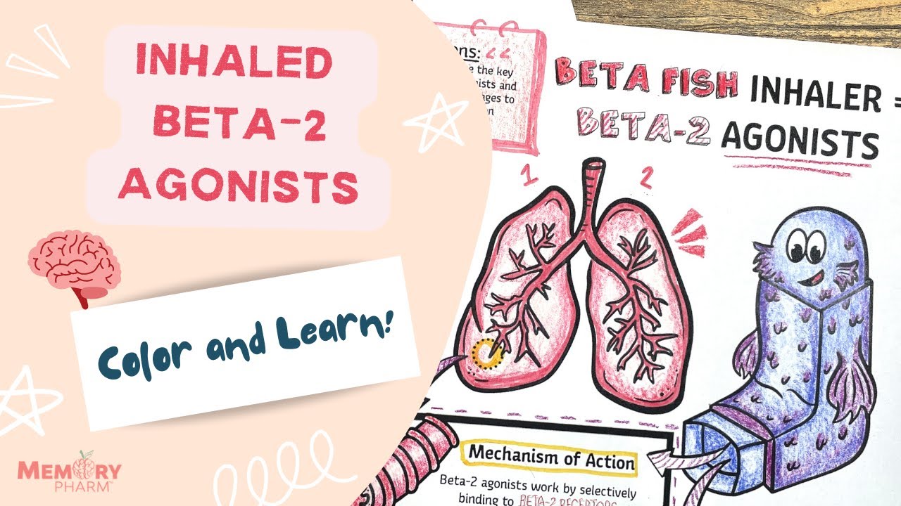Inhaled Beta-2 Agonists for Visual Learners - Memory Tips, Mechanism of Action, Side Effects, & More