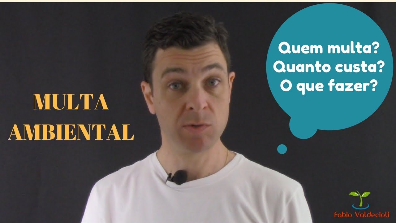 Multa ambiental