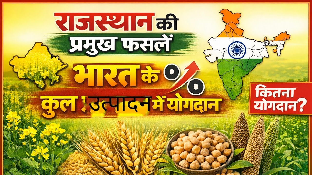 राजस्थान की प्रमुख फसलों के बारे में महत्वपूर्ण जानकारी|| देश के कुल उत्पादन में राजस्थान का स्थान|