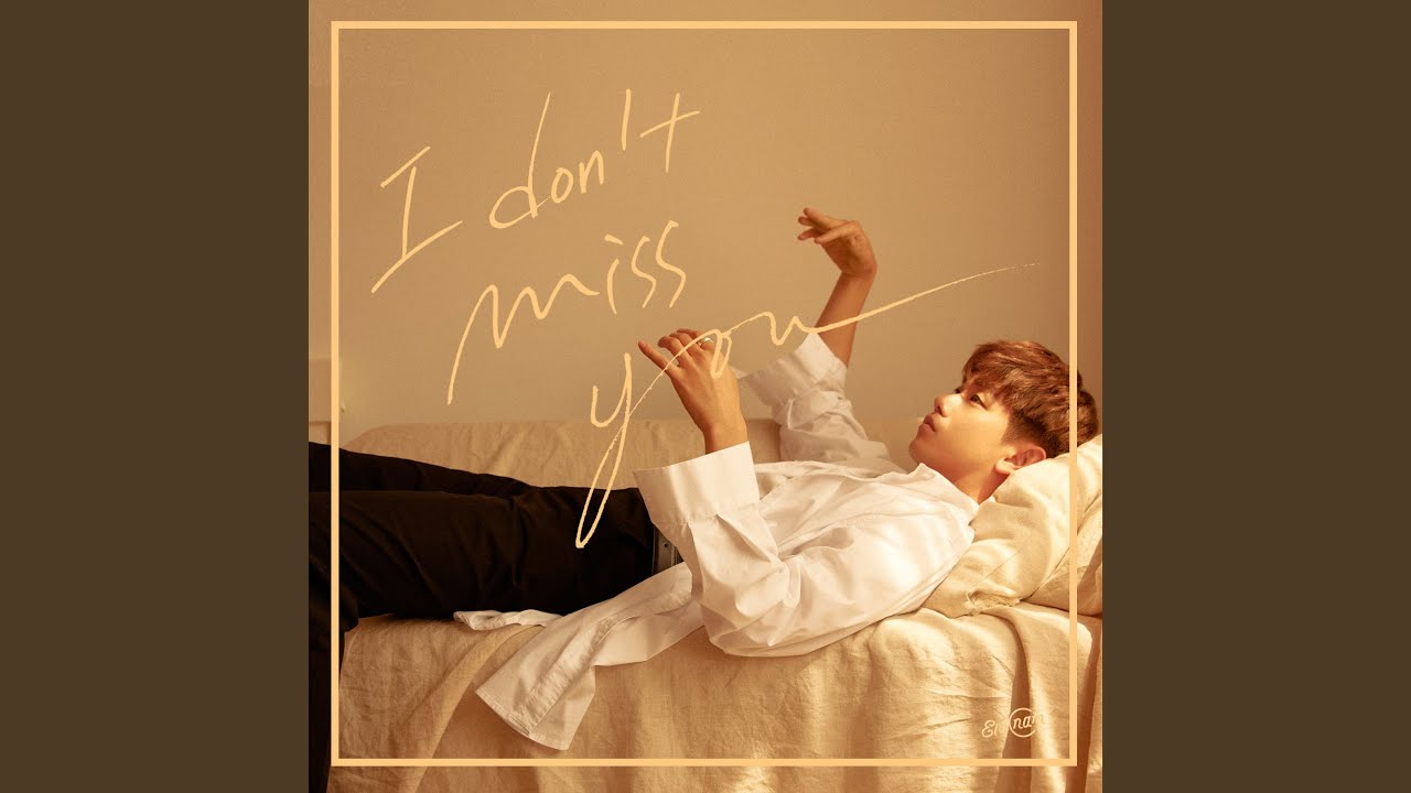 I Don't Miss You