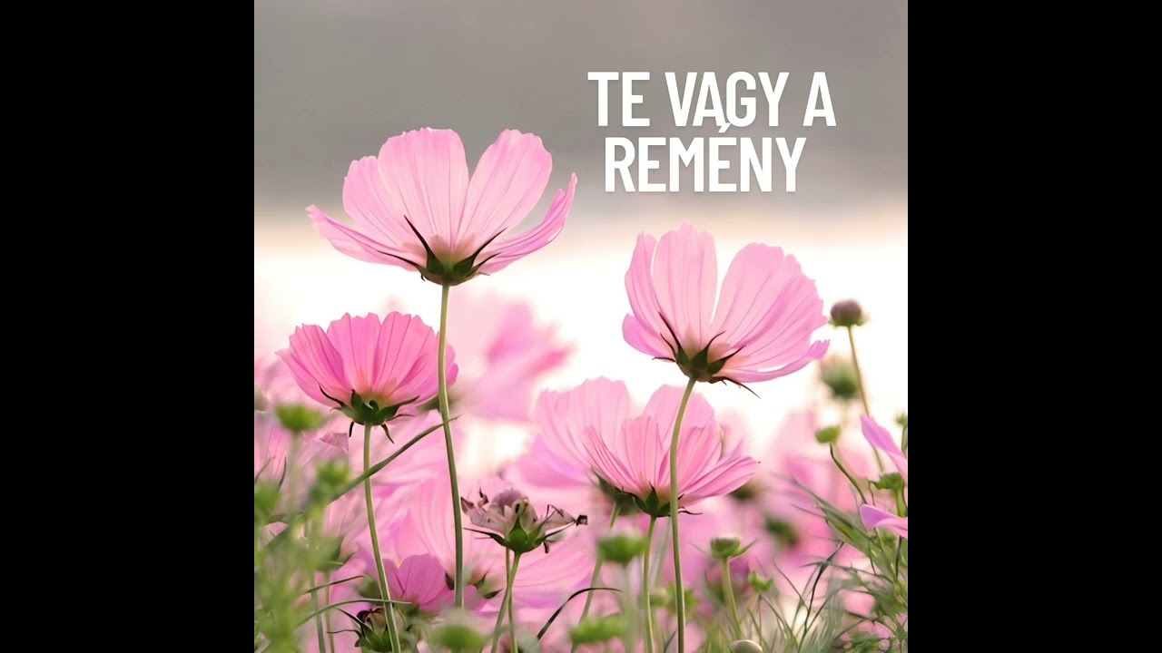 Burai Csaba-Te vagy a remény 
