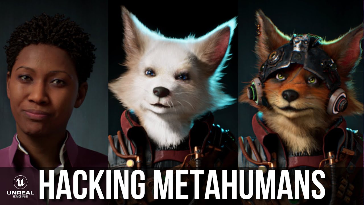 🦊🏴‍☠️ 