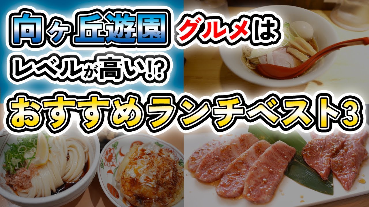 向ヶ丘遊園駅ランチはレベルが高い！？おすすめランチベスト3！ラーメン・焼肉・うどん