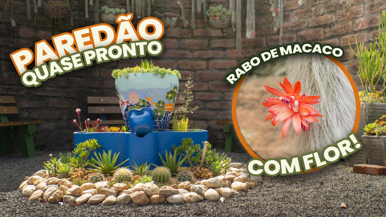 086 |  Paredão do Rabo de Macaco quase pronto