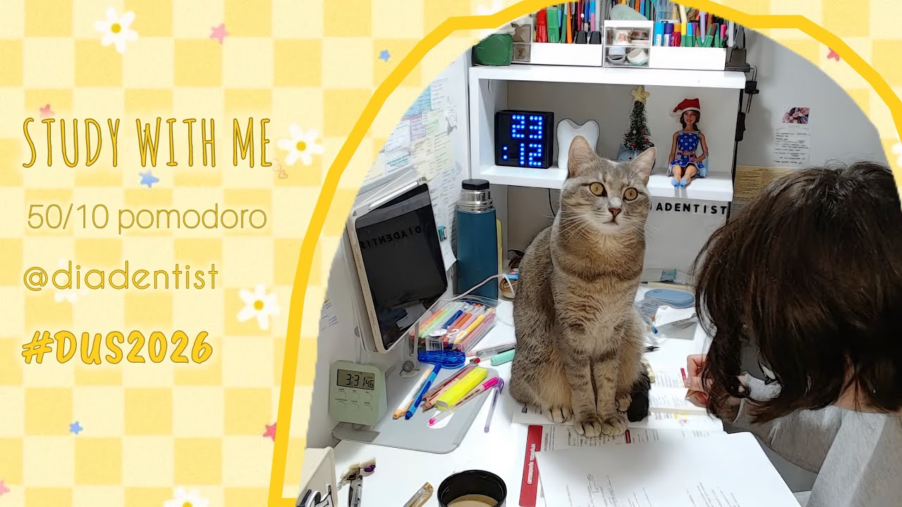 Benimle 6 saat #dus çalış! Study with me live 6 hours #studywithme #pomodoro #tus #kpss #yks #lgs
