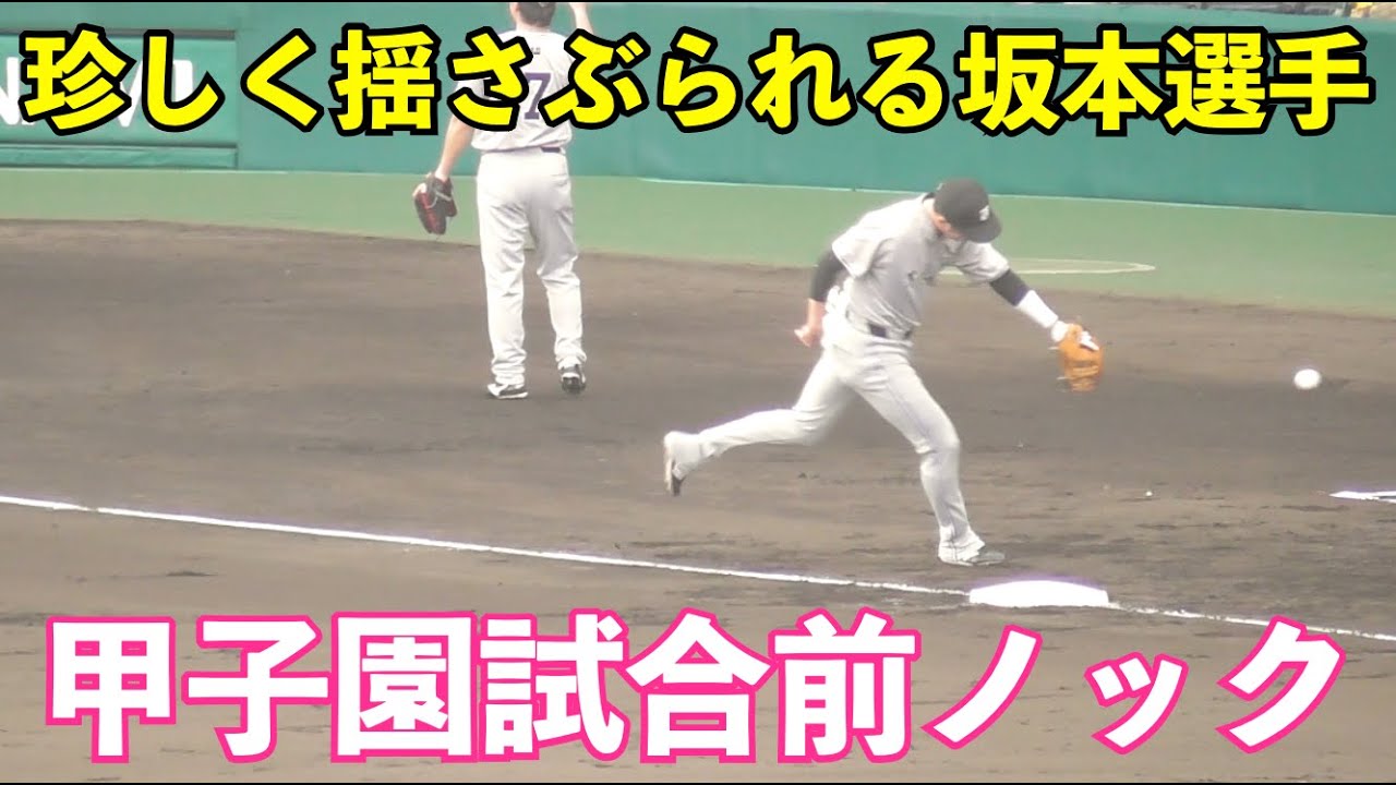 巨人甲子園ノック！この日猛打賞の丸選手は相変わらずの正確な送球！坂本選手は川相コーチから珍しく揺さぶられる場面も！