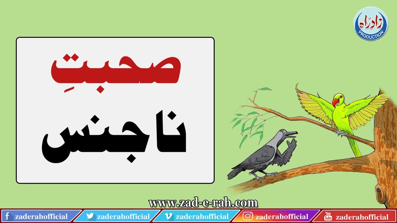 Sohbat-e-Na Jins | صحبتِ نا جنس | Zad-e-Rah Official | 2021