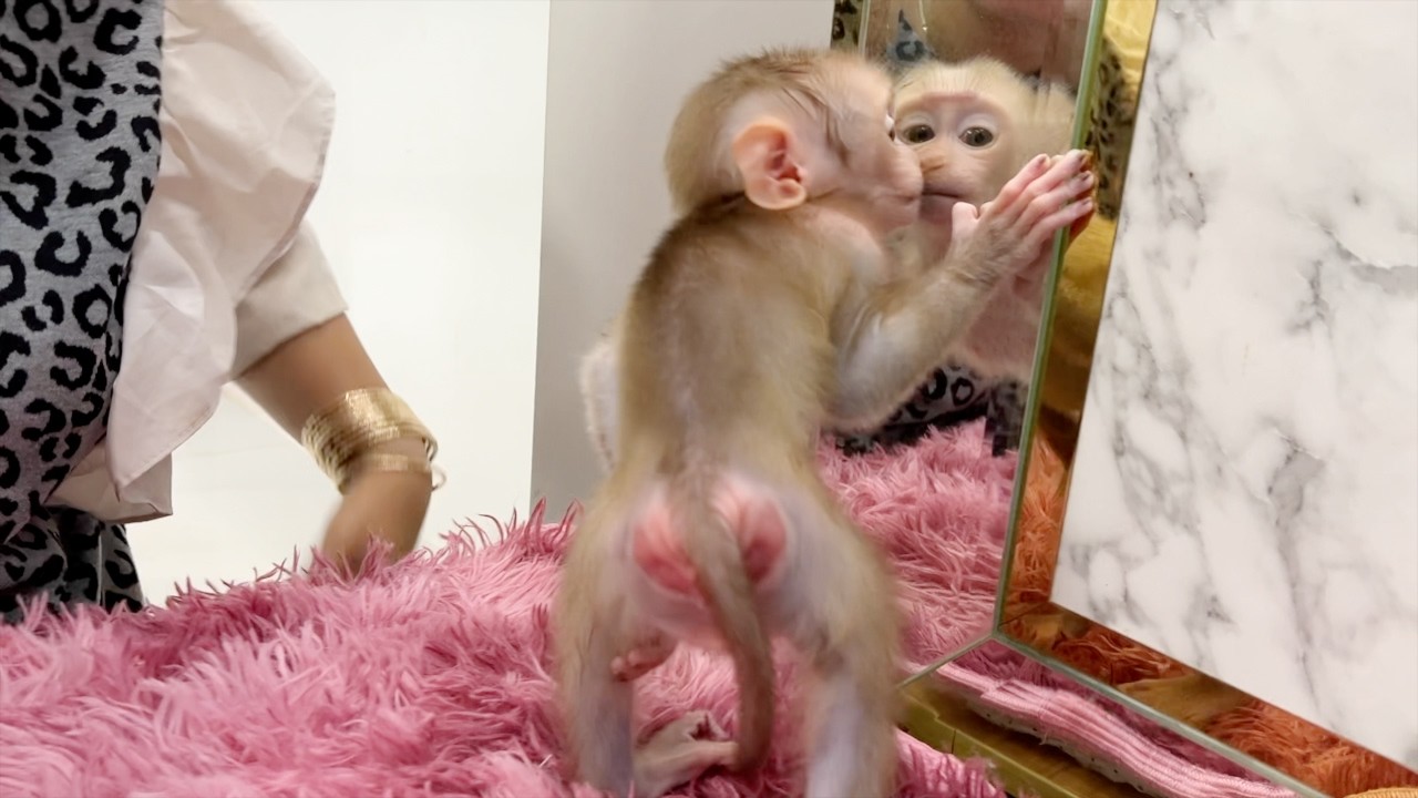 Funny Baby Tauch Surprise Himself In Mirror