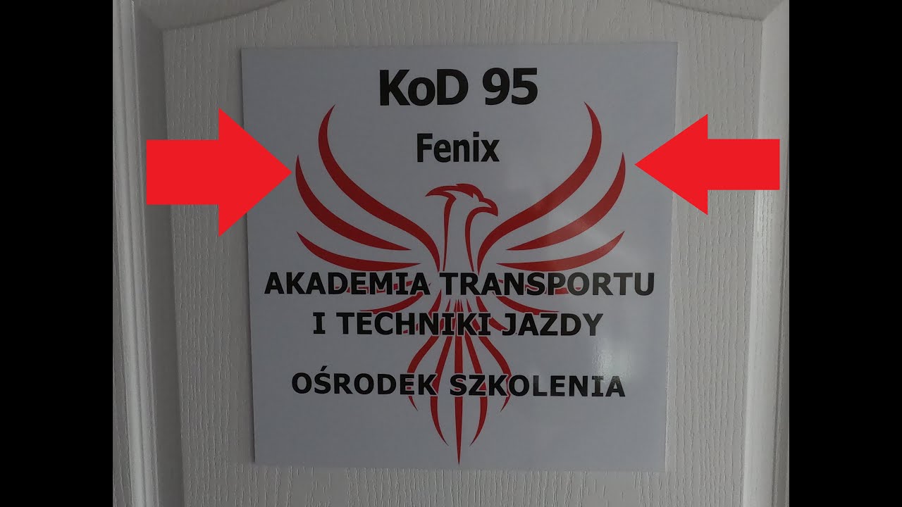 ЛЕТИМ В ПОЛЬШУ НА КОД 95!Я ПОСЕТИЛ АВТОШКОЛУ ФЕНИКС!#код95#варшава