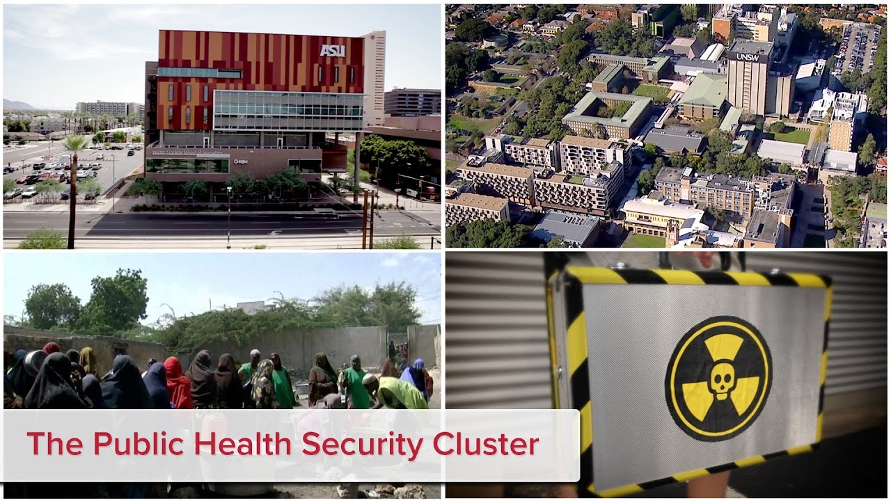 The Public Health Security Cluster