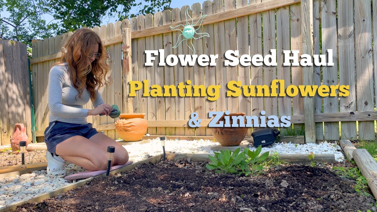 April Garden 🪴Flower Seed Haul 🪴 Planting Sunflowers & Zinnias
