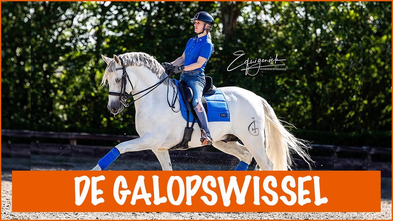 Hoe rijd je een galopswissel? | PaardenpraatTV