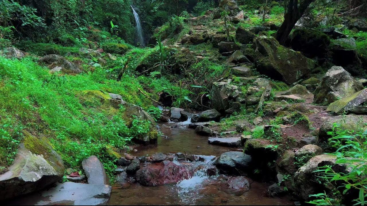 4K-HDR | Soft Flowing River Sounds for Sleep and Stress Relaxation | Natural Night Ambience for Rest