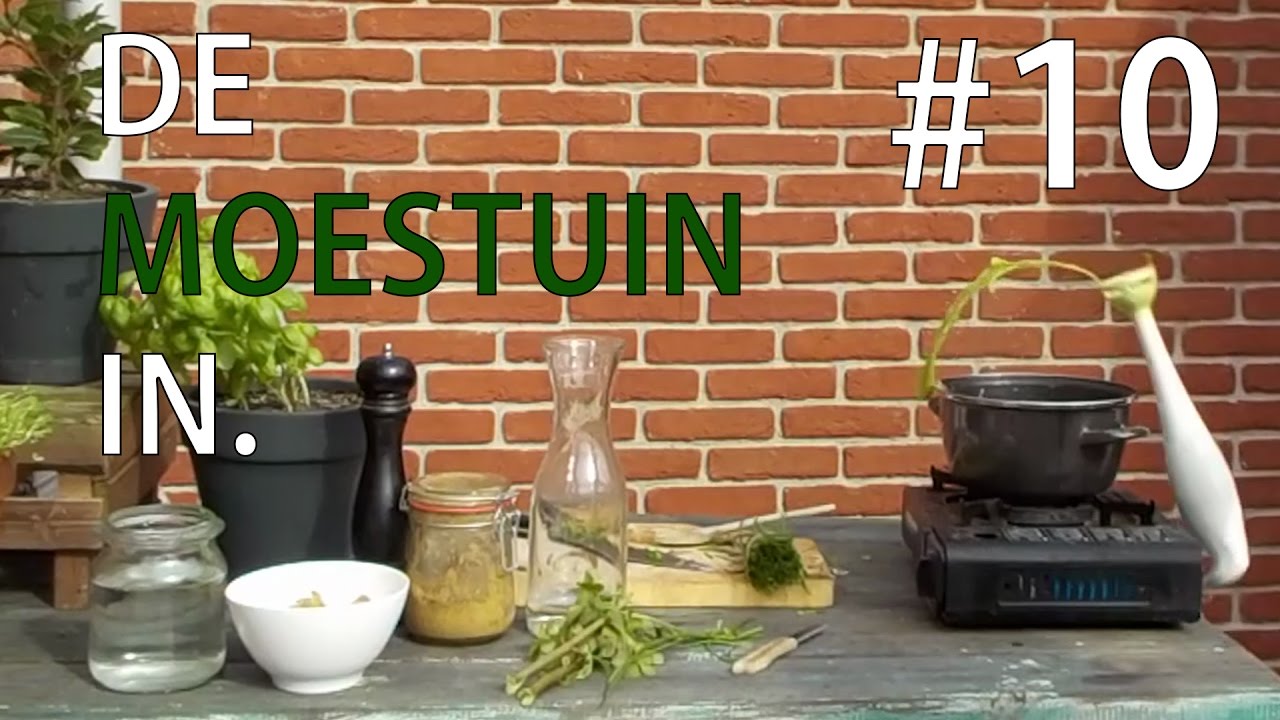 De Moestuin In. vlog #10 - Schoffelen en een bieslook-soep