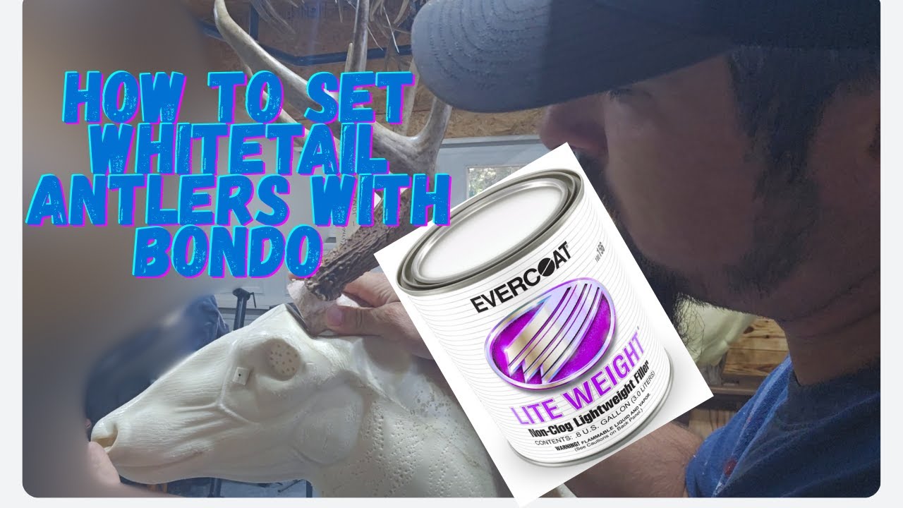 How to set whitetail antlers with bondo