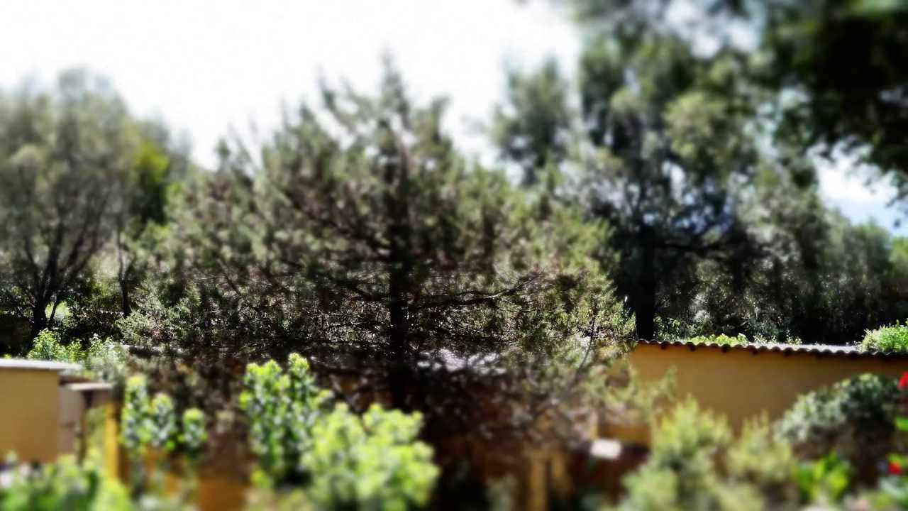 Corsica 2012 - Isula Bella