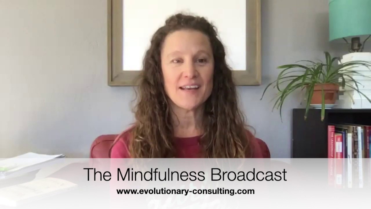 The Mindfulness Broadcast Week #2