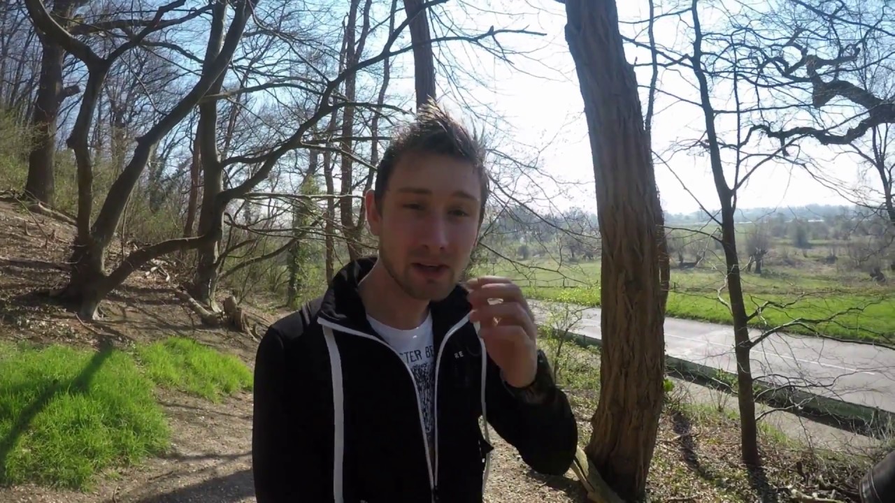 #2: Ringslangen zoeken!