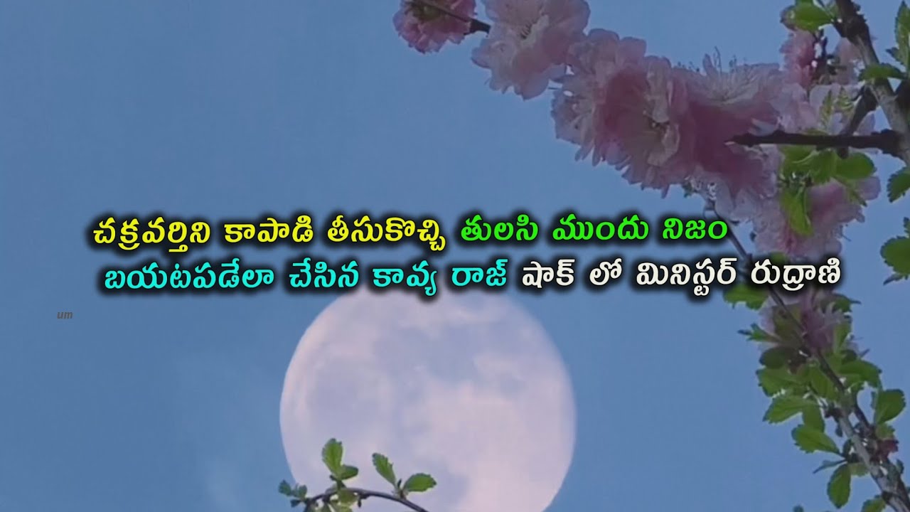 #Brahmamudi serial review చక్రవర్తిని కాపాడి తీసుకొచ్చి తులసి ముందు నిజం బయటపడేలా చేసిన కావ్య రాజ్ 