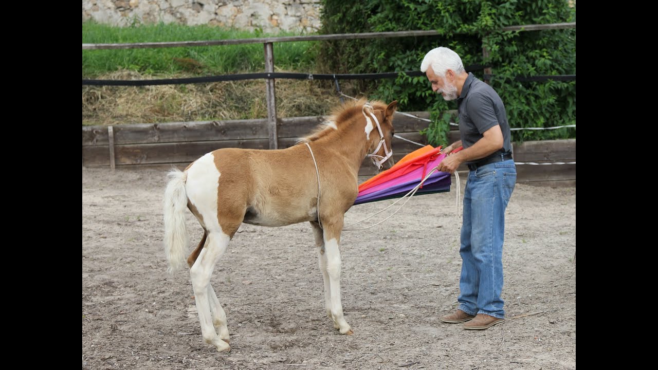 Grundlagen SENOR 25.6.16