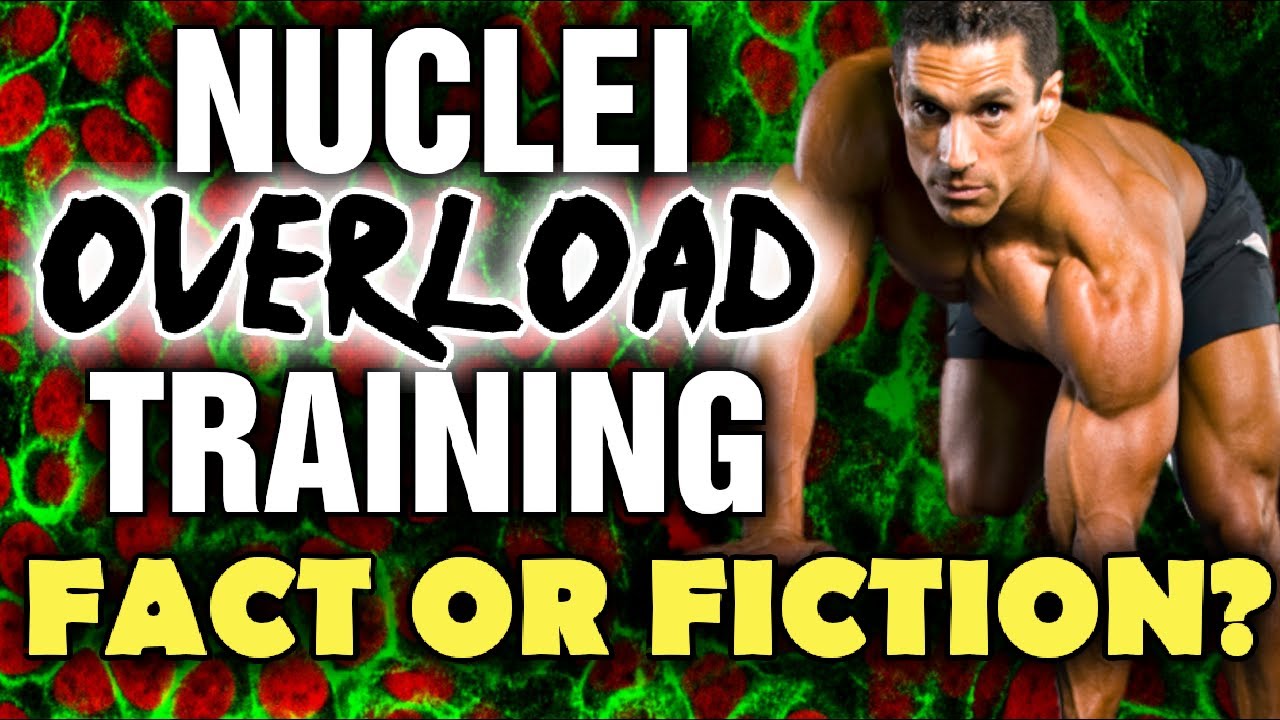 Nuclei Overload Training - Does it Work?