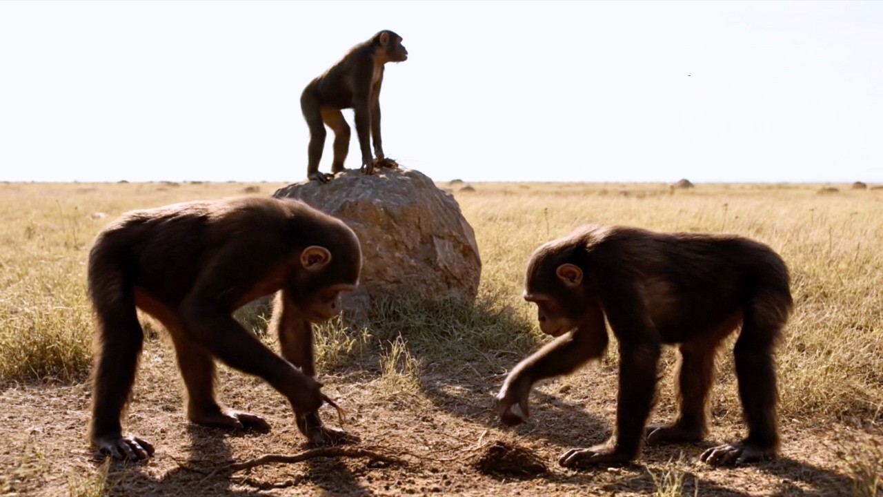 Life 4.7 Million Years Ago | When Humans Were Not Yet Human