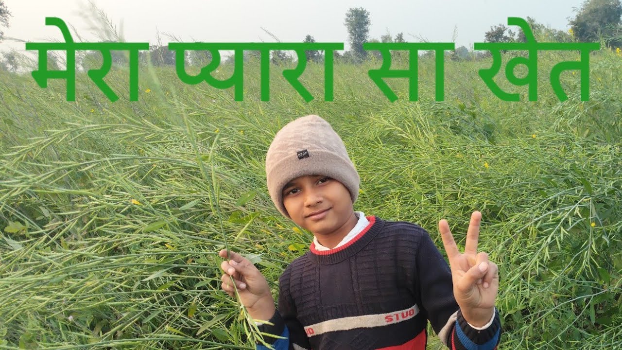 मेरा प्यारा सा खेत @Golusingh348-k8c 