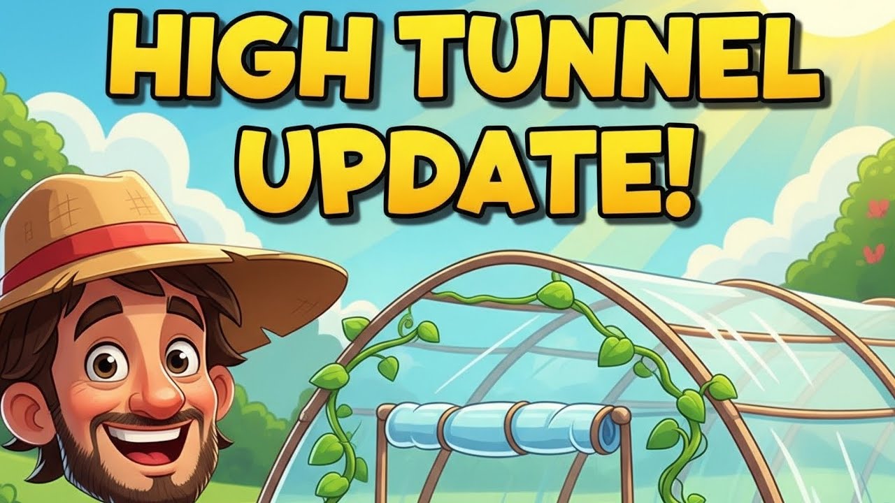 High Tunnel! Been Busy..