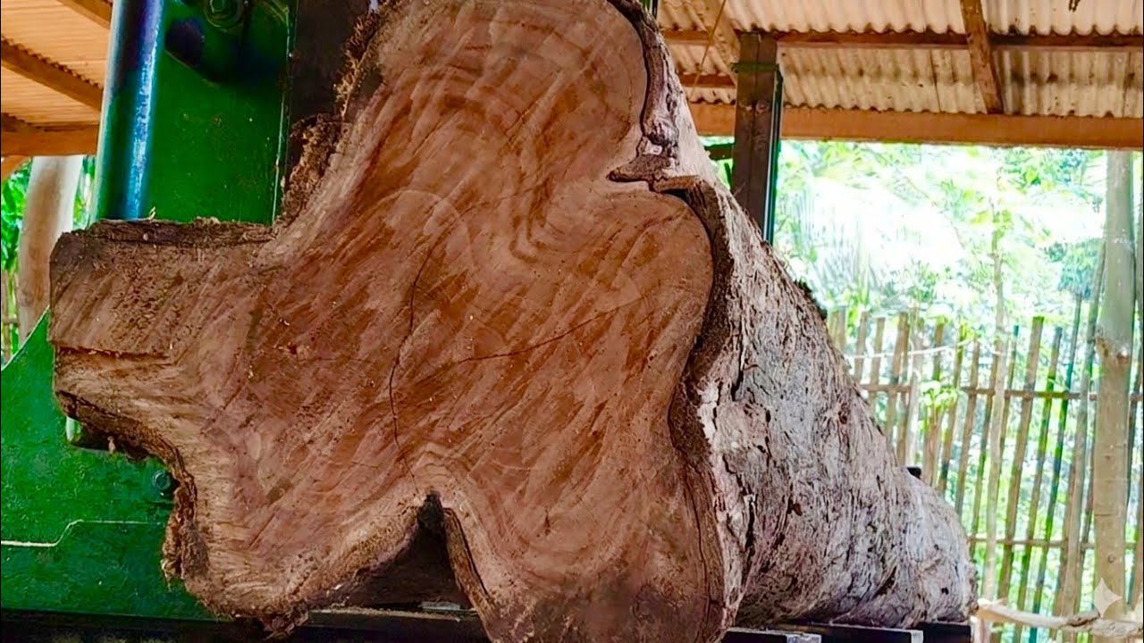 🌲За кулисами лесопилки: Борьба за распил длинных тиковых бревен на блоки🌲