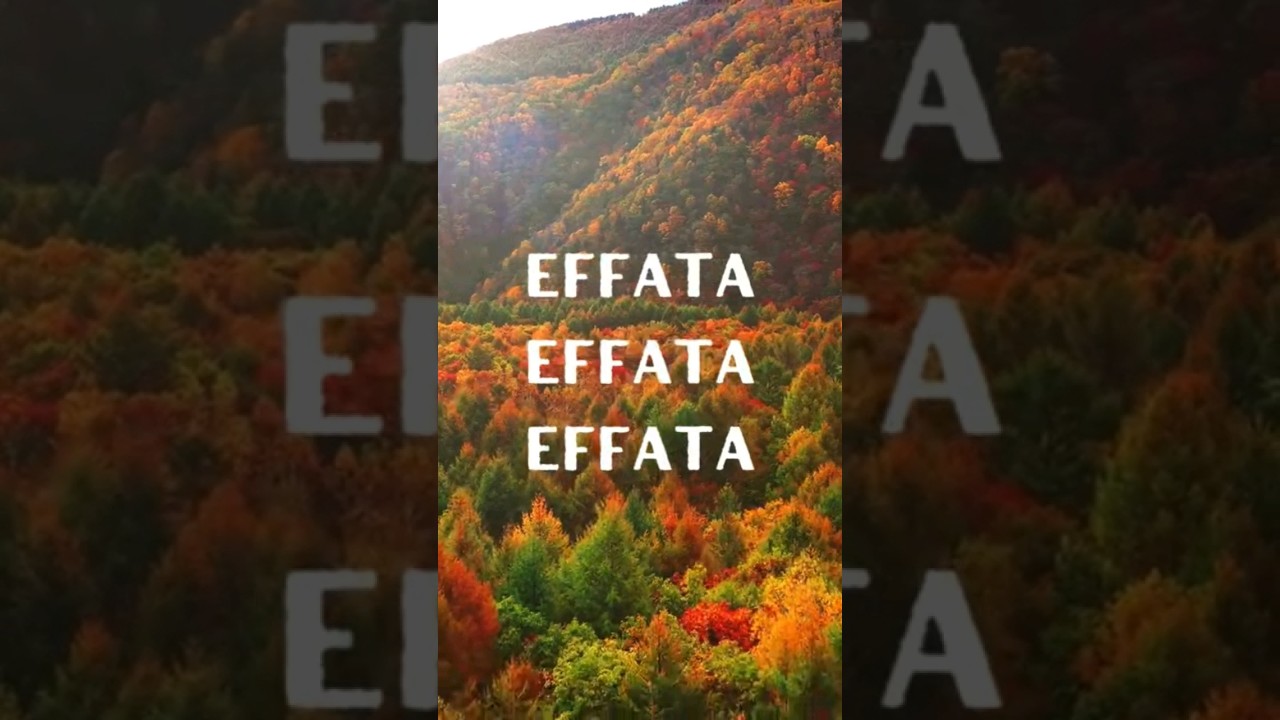 Mantra abre Caminos ✨ Effata #effata #paulaafirmaciones #abrecaminos #frasesinspiradoras