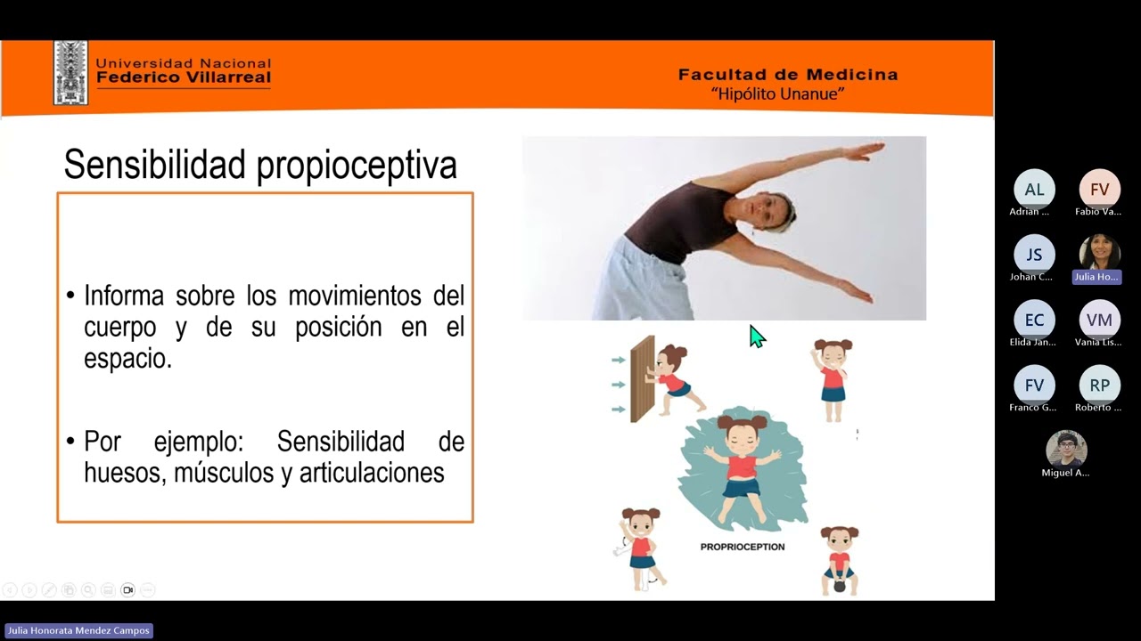 Neuro Clase 14 y 16: Síndrome Sensitivo / Síndrome Medular - Semiología
