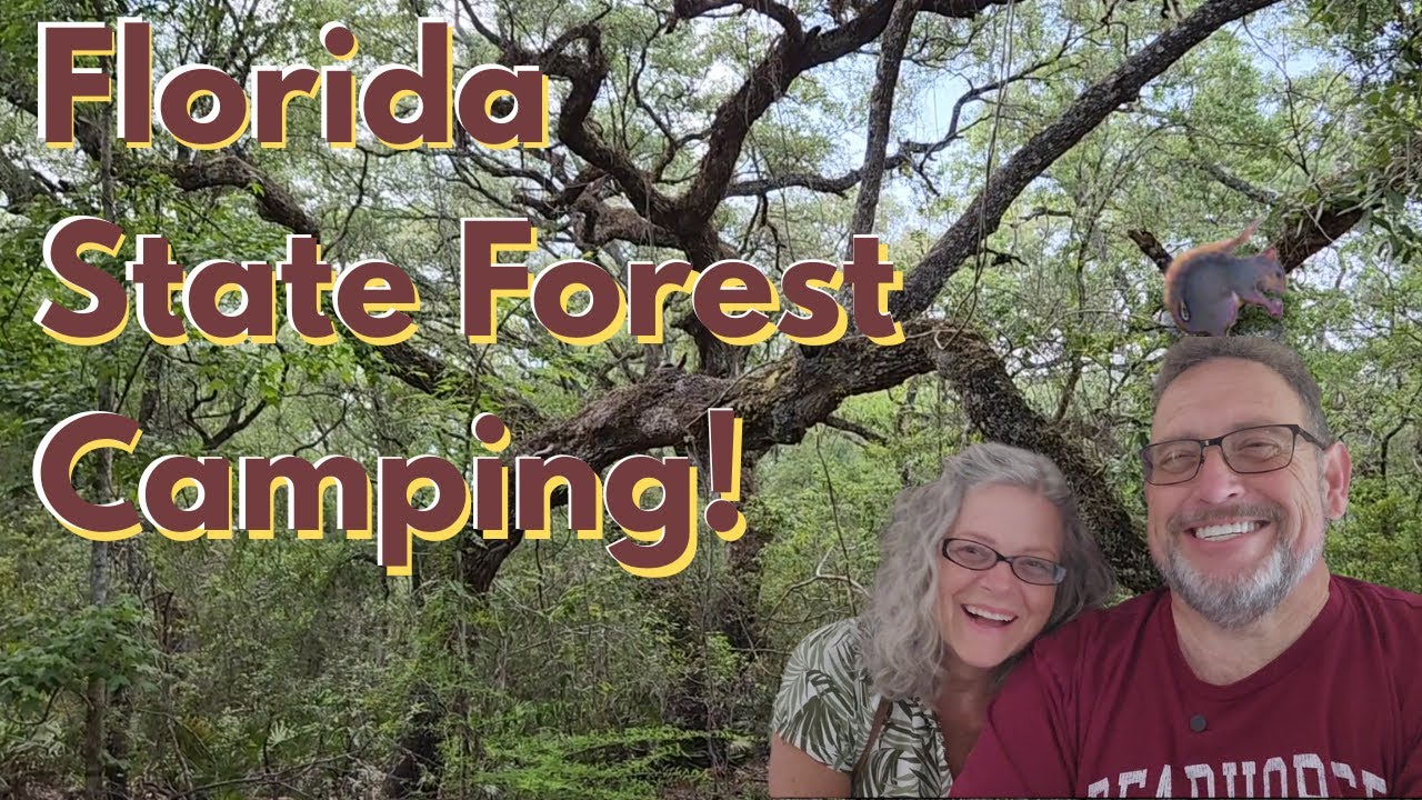 Hidden Gem Campground in Florida! 🌲 Cypress Glen – Withlacoochee State Forest | LaLa Go