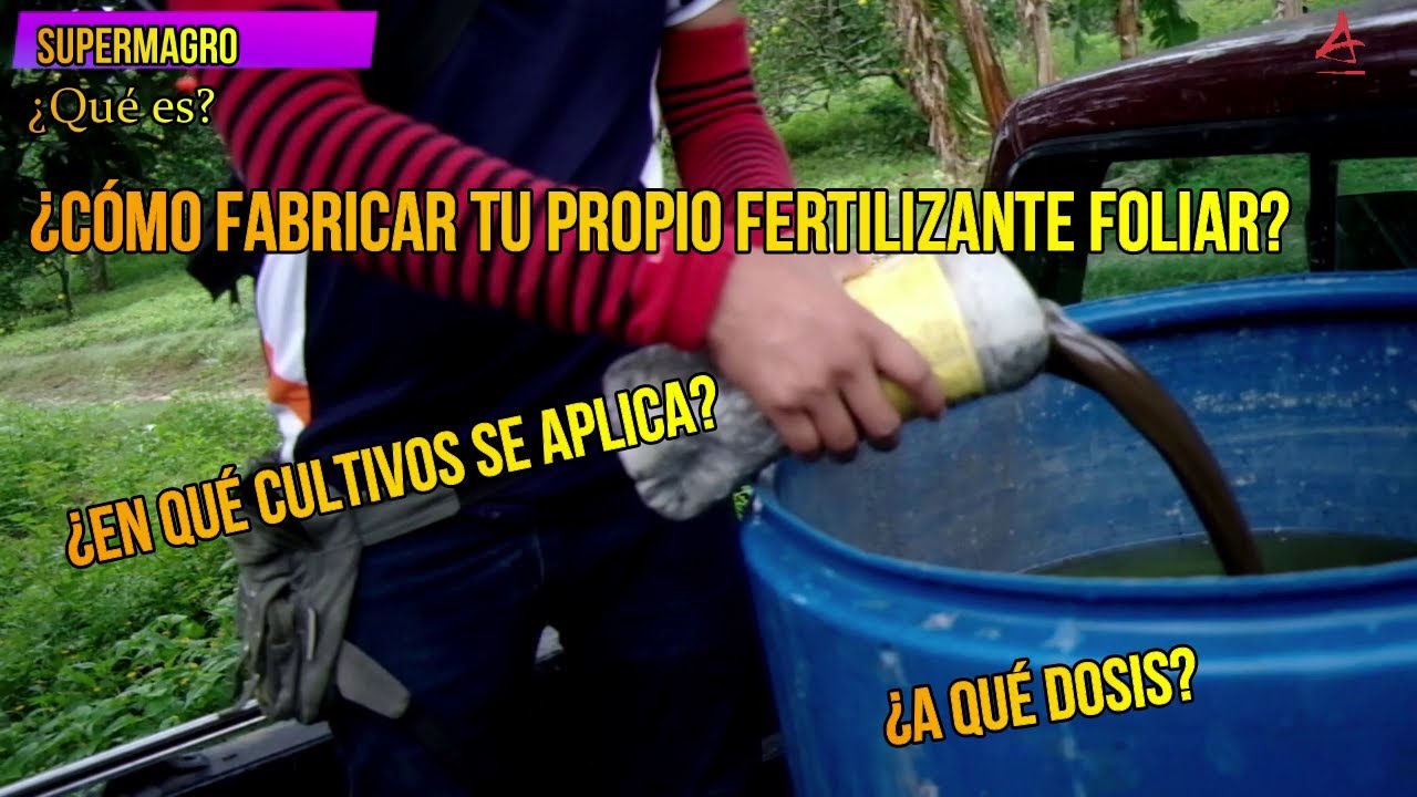 #1. ¿CÓMO FABRICAR TU PROPIO FERTILIZANTE FOLIAR SUPERMAGRO? ¿EN QUE CULTIVOS SE APLICA? [2021]
