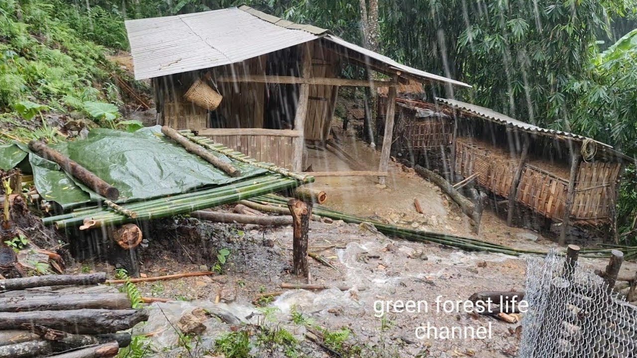 Heavy rain and big storms come to Robert's farm. Robert | Green forest life ( ep199)
