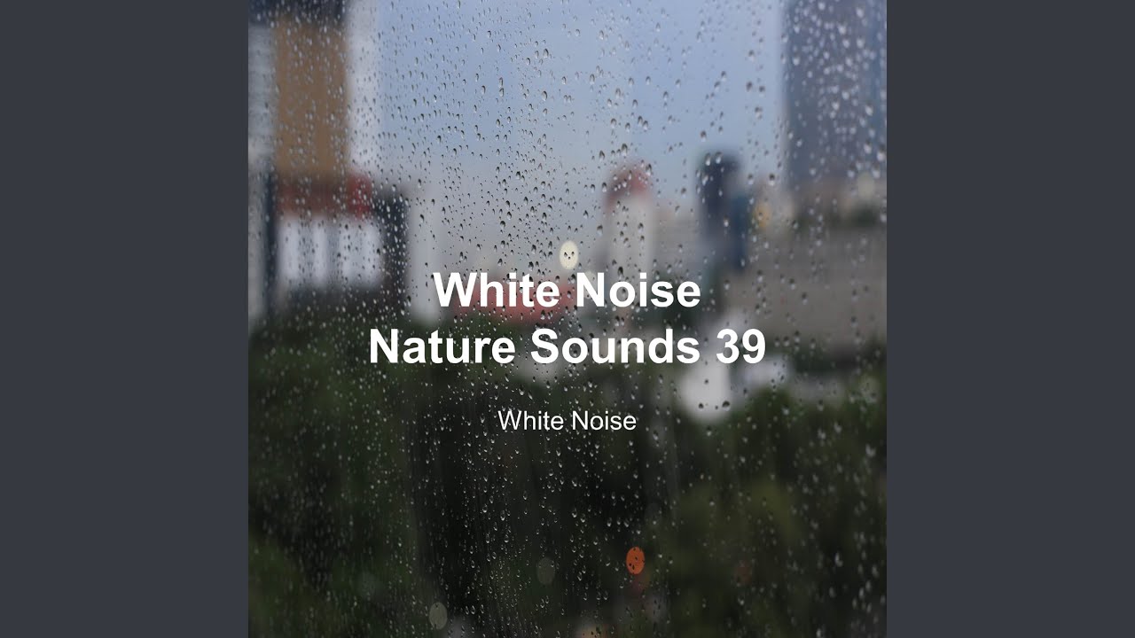 Quiet City Night Sound