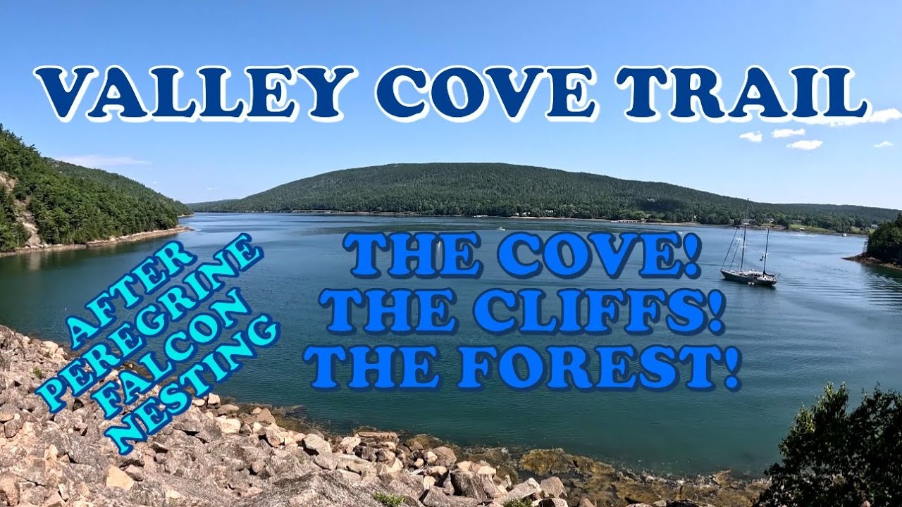 VALLEY COVE TRAIL - Cove, Cliffs & Forest - after Peregrine Falcons - ACADIA NATIONAL PARK Hiking
