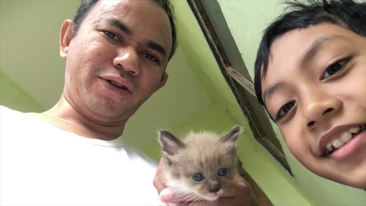 Pusic Panther Hugo n Minthul