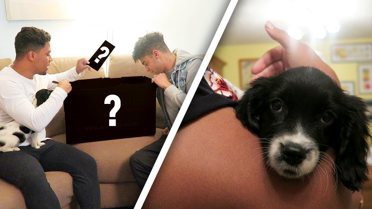 OMG WE HAVE A PUPPY & A SURPRISE DELIVERY!!