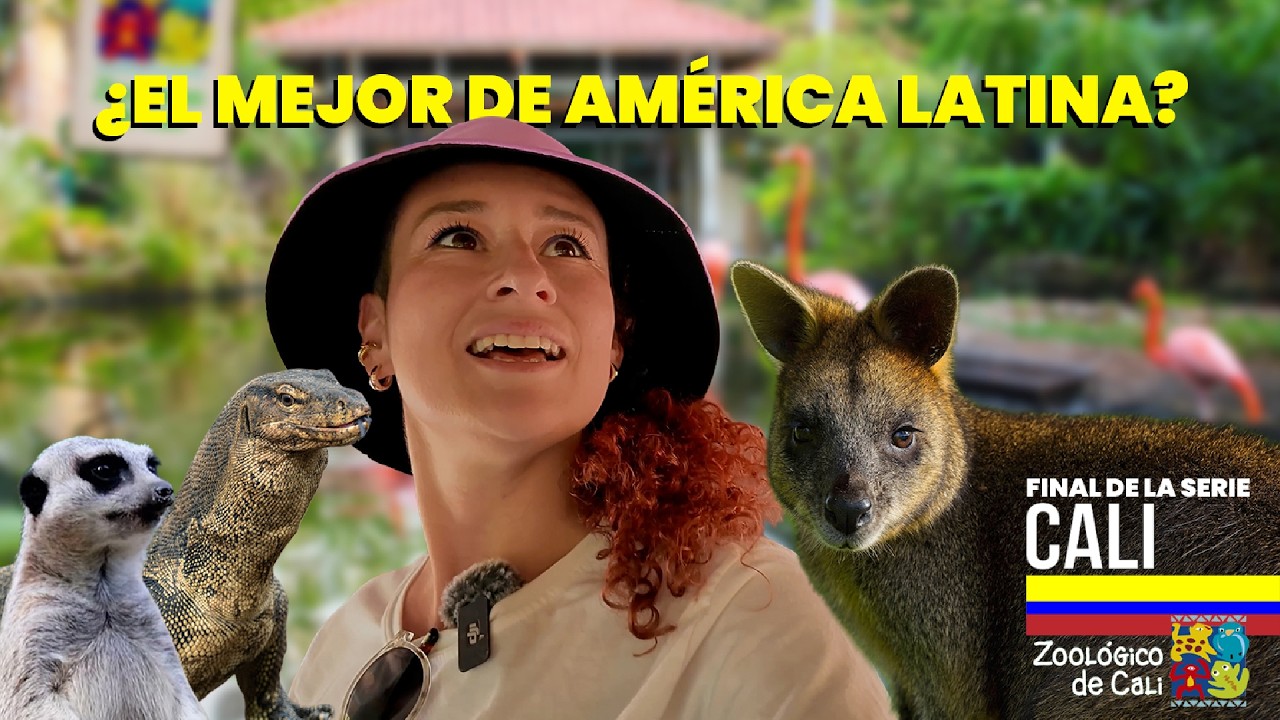 No Esperaba Encontrar Esto en Cali