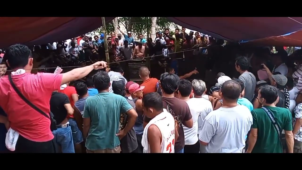 KRISTO SA SABONGAN  #sabongnationpointingtips