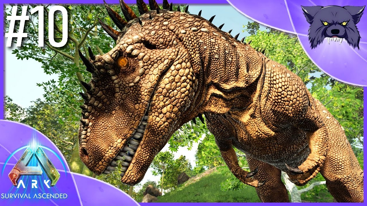 CARCHARODON LVL MAX ! 🦖 ARK : SURVIVAL ASCENDED #10