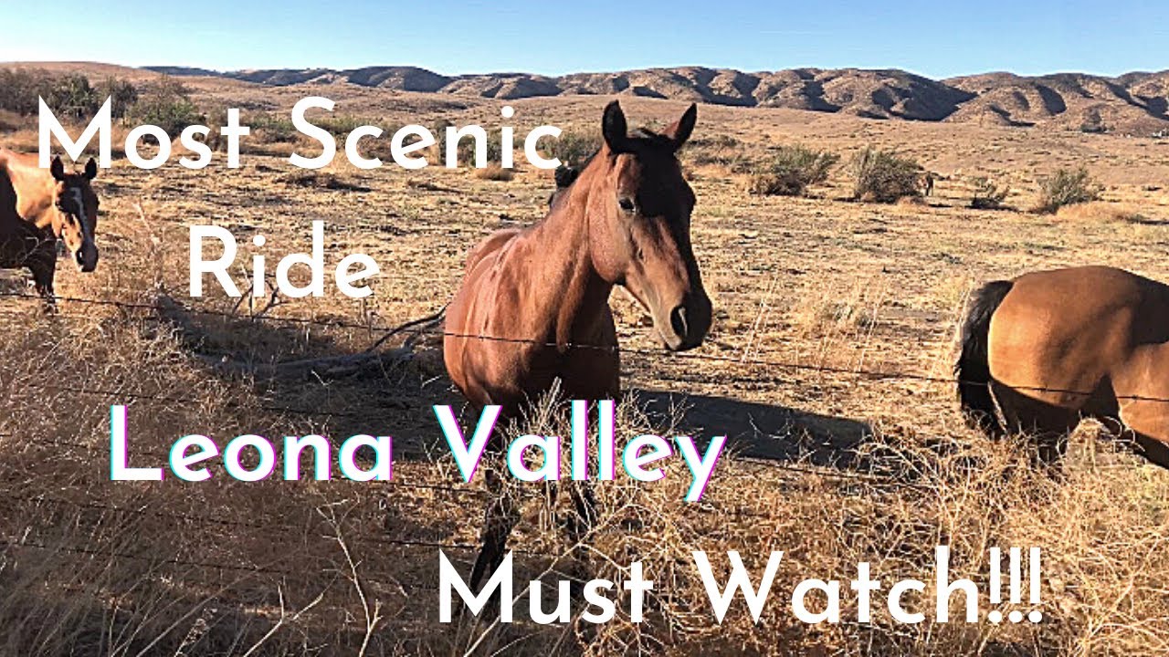 MOST SCENIC RIDE | MOTOVLOG | LA |  LEONA VALLEY VIA BOUQUET CANYON | 4K