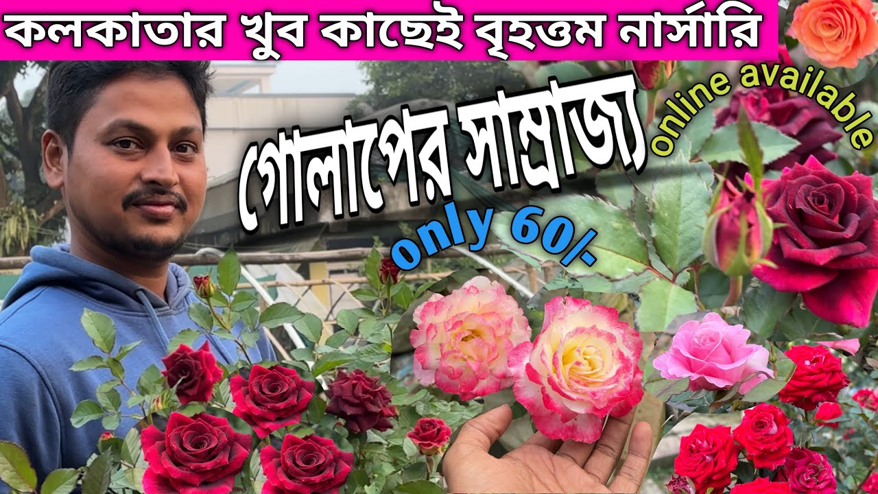 কলকাতার খুব কাছেই বৃহত্তর গোলাপের নার্সারি || Largest rose nursery near Kolkata 
