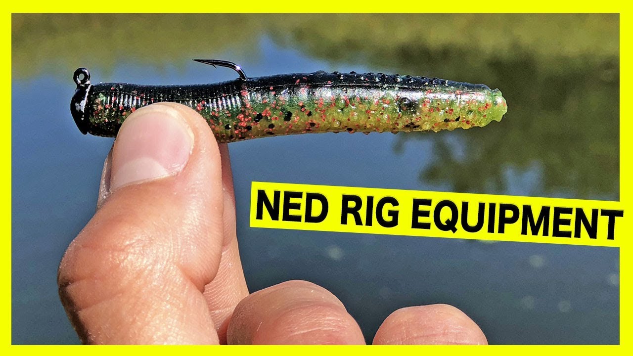 Выбор правильного снаряжения для NED RIG