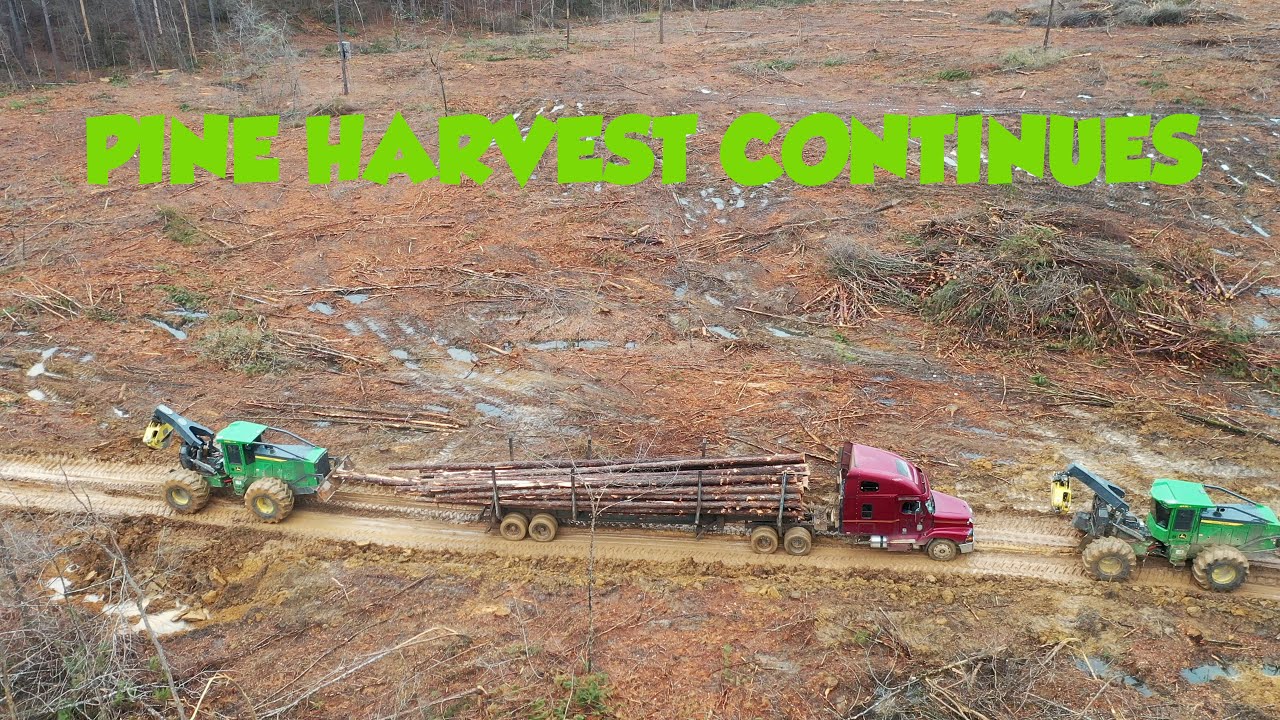 ALABAMA FARMING AND LOGGING