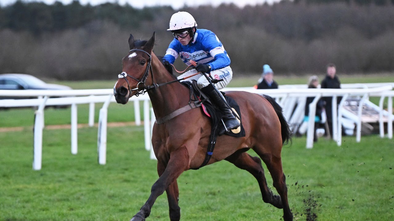 TEESHAN - Champion Bumper contender for Harry Cobden and Paul Nicholls?